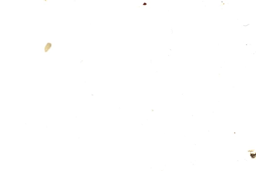 Image 153